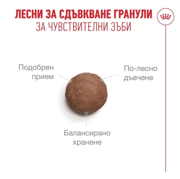 Royal Canin Cat Ageing 11+ - Суха храна за котки над 11 годишна възраст